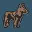 Coyote