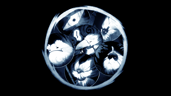 Completionist