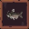 Legendary Whiskered Warrior