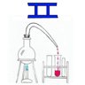 I1 Trophy: Botany Lab Caves 2
