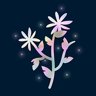 Caring for the Flora