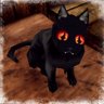 Cat Cult