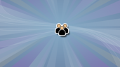 We play together!