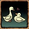 Duck & Goose