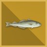 100 Tons Haddock