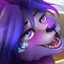 Furry_12
