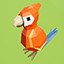 Parrot owner