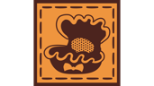 Pattern Collector: The Beach