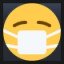 Face With Medical Mask