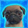Getting Pug-gy With It