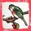 like a bird