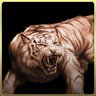 Young dragon, defeat the big tiger