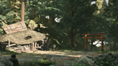Purify Kakeashi Grove
