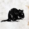 Tunnel Rat