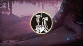 Amaranth Collector