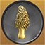 Golden Morel Cabin in the Woods