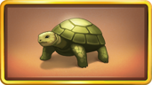 Turtle Tamer