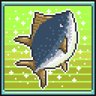What a Catch!