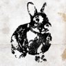 White Rabbit