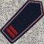 Leading Fire Chief
