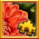 Flower Complete!