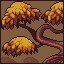 Bonsai