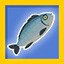 I seafood I eat food