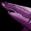 Yes that is a shark with a laser attached to it's back