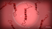 Prion Master