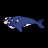 Free the Whale