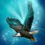 Happy bird