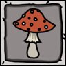 A fly agaric
