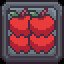 1B Apples