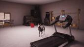 Cardio Kills Your Gains