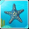 Little Twinkle