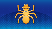 Insect With Style