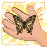 Butterfly Maestro