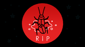You killed that poor roach.