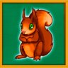 Squirrelmania