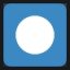 Record Button