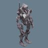 Companion Protocol