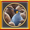  All Variety Pack XXS Puzzles Complete!