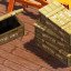 Plunder Economy