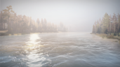 Crossing