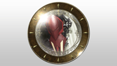 Novice Shieldsmith