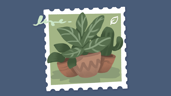 Tiny Plant Shop