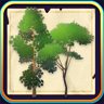 Woodcutter
