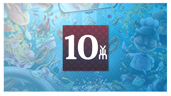 YUM Rank 10