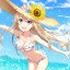 Suomi's Summer Day