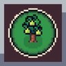Pear Orchard